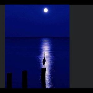 Meet your Posher, C.